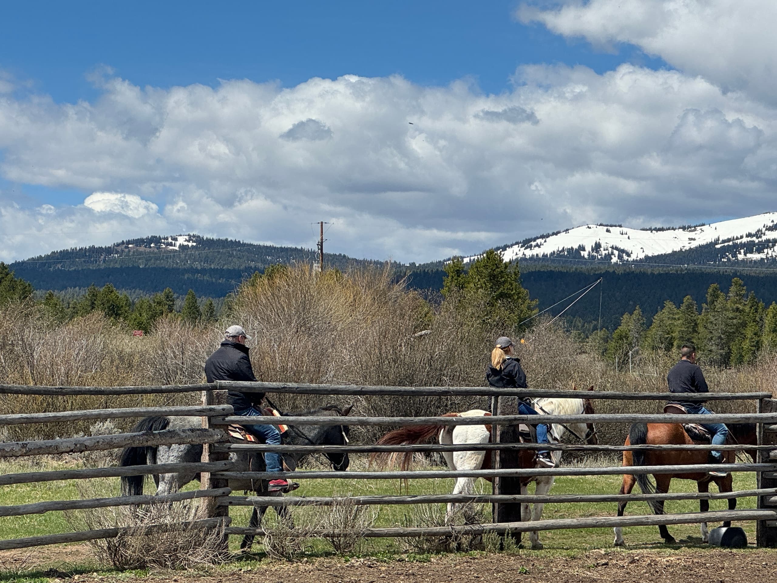 Horseback Riding in Yellowstone with Yellowstone Horses