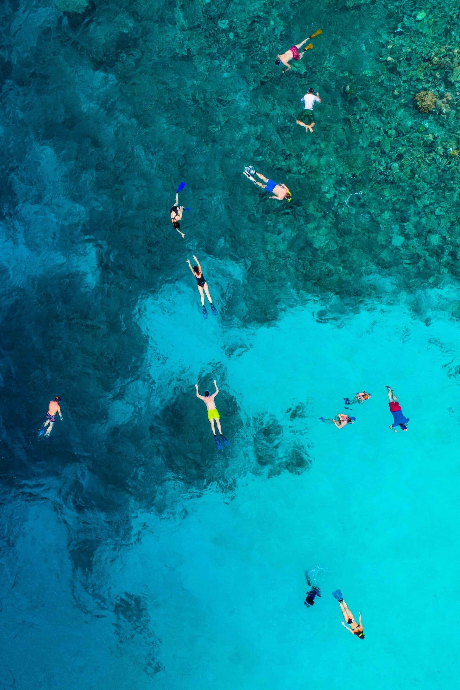 Aerial snorkelers exploring coral reef in turquoise shallow tropical water