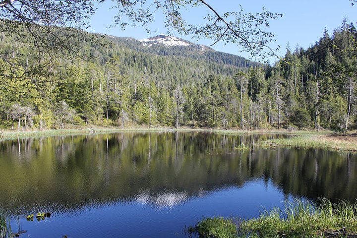 Mountain lake reflecting forest and peaks in Ketchikan wilderness