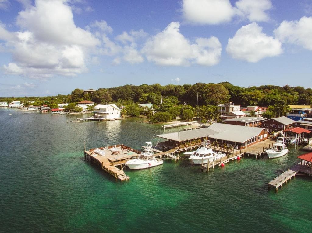 Utila Lionfish Hunting Trip: 7-Night Dive & Conservation Expedition (April 10–17, 2027) photo 2