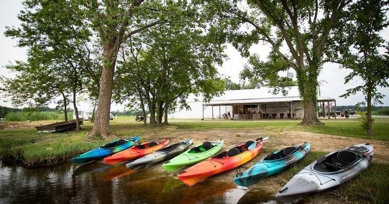 Water Activities & Blackwater Adventures: Transquaking River Kayak Experience