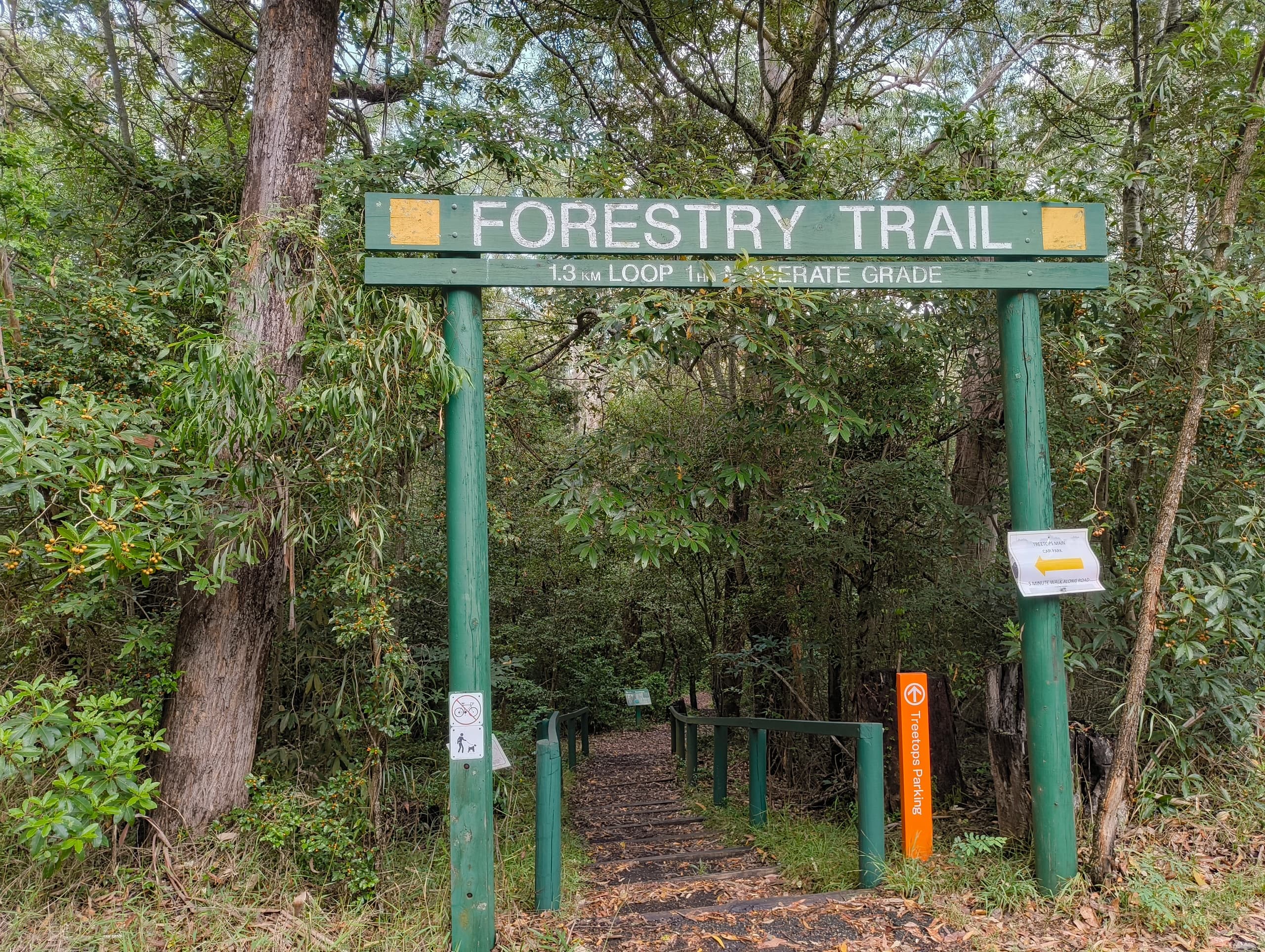 Forest Bathing Walk at Cumberland State Forest by Forest Minds