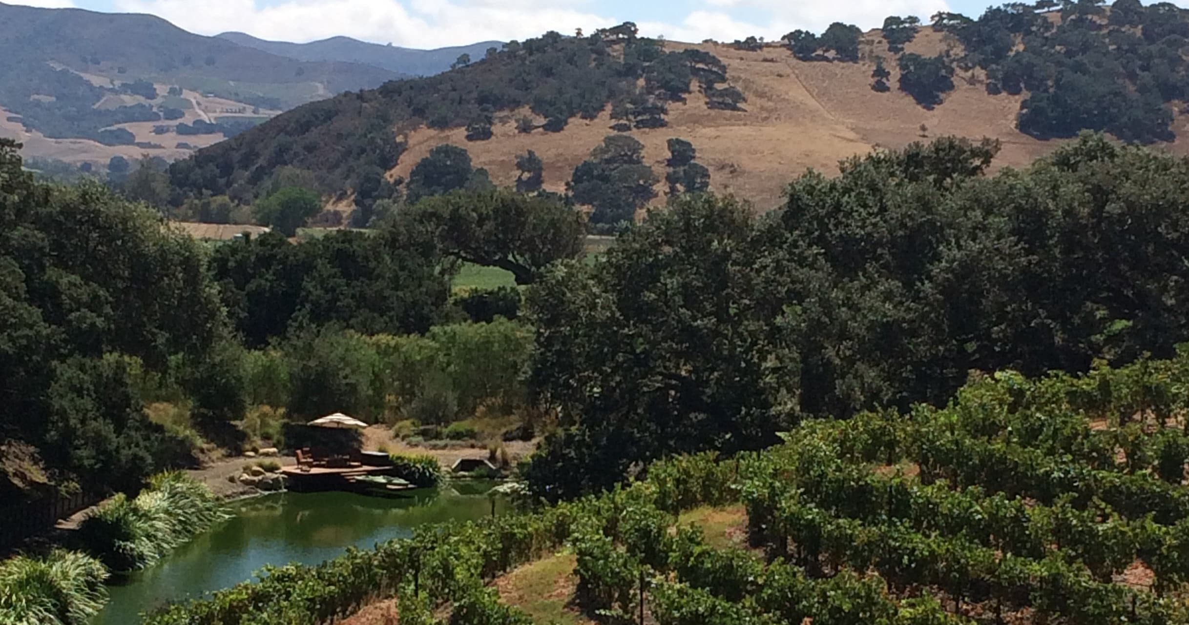 Vineyard valley landscape in Solvang wine country