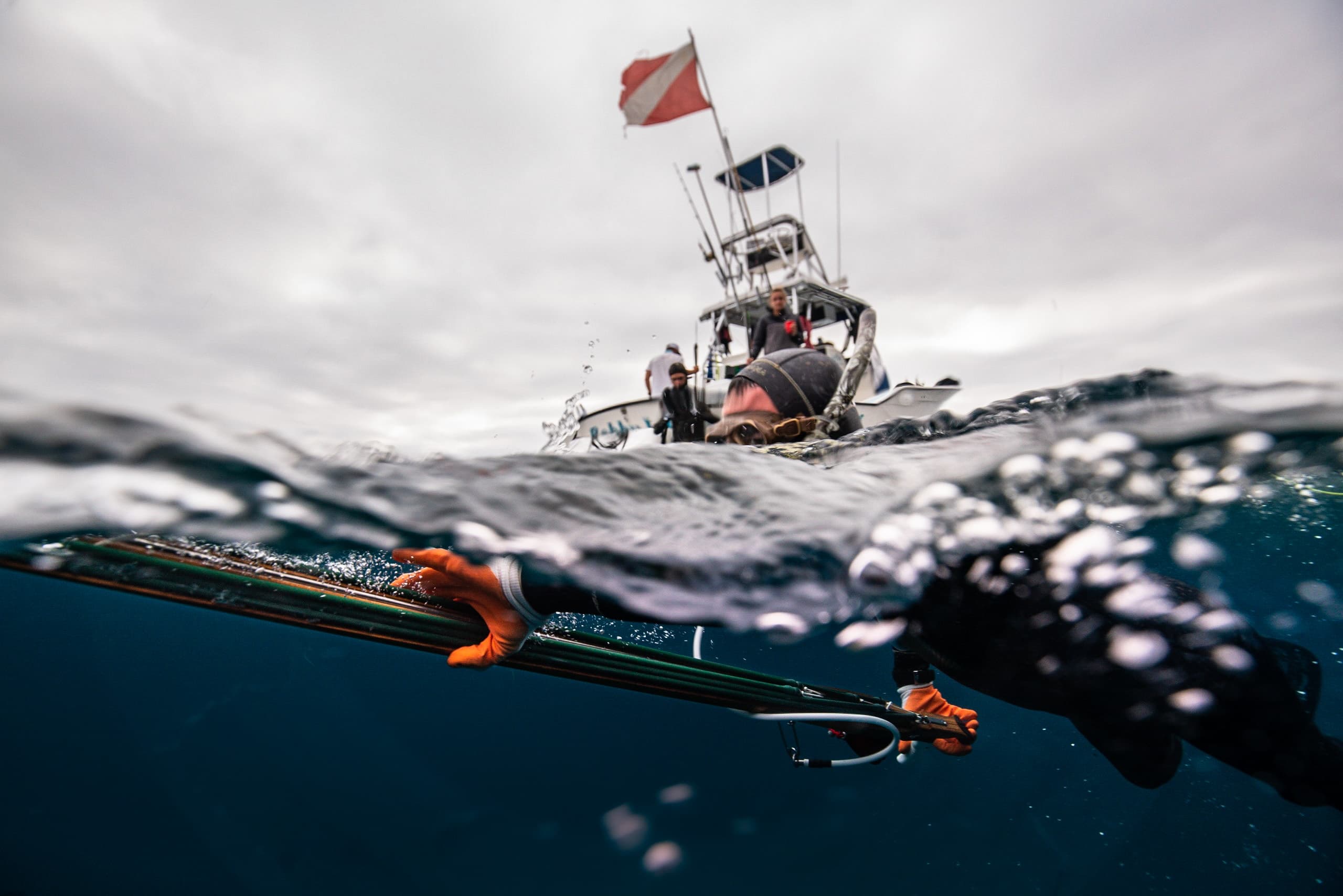 PFI Reef Spearfishing Adventure in Monterey, CA