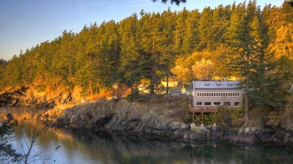 Kayak Adventure at Doe Bay with Shearwater Adventures