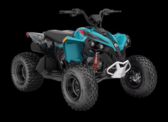 Can-Am 110 Kids ATV: Family Dune Adventures at St Anthony Sand Dunes photo 1