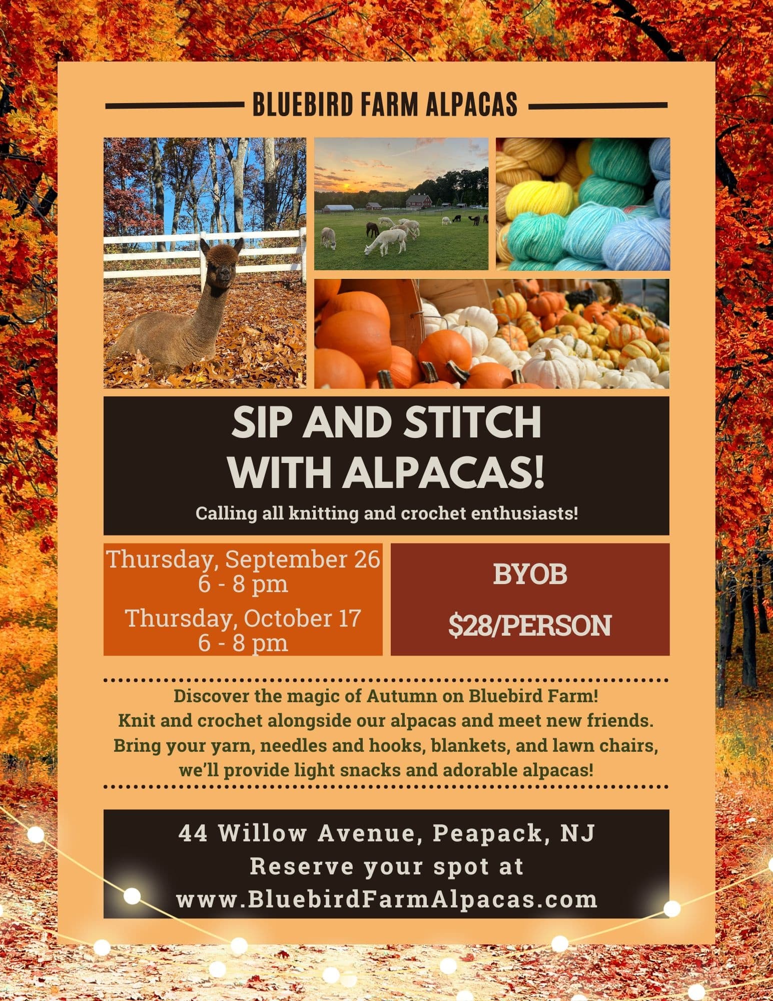 Sip and Stitch with Alpacas in Peapack and Gladstone, NJ