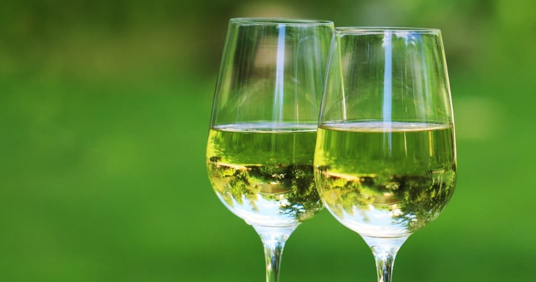 Winery & Wine Tasting at Vinho Verde Workshop