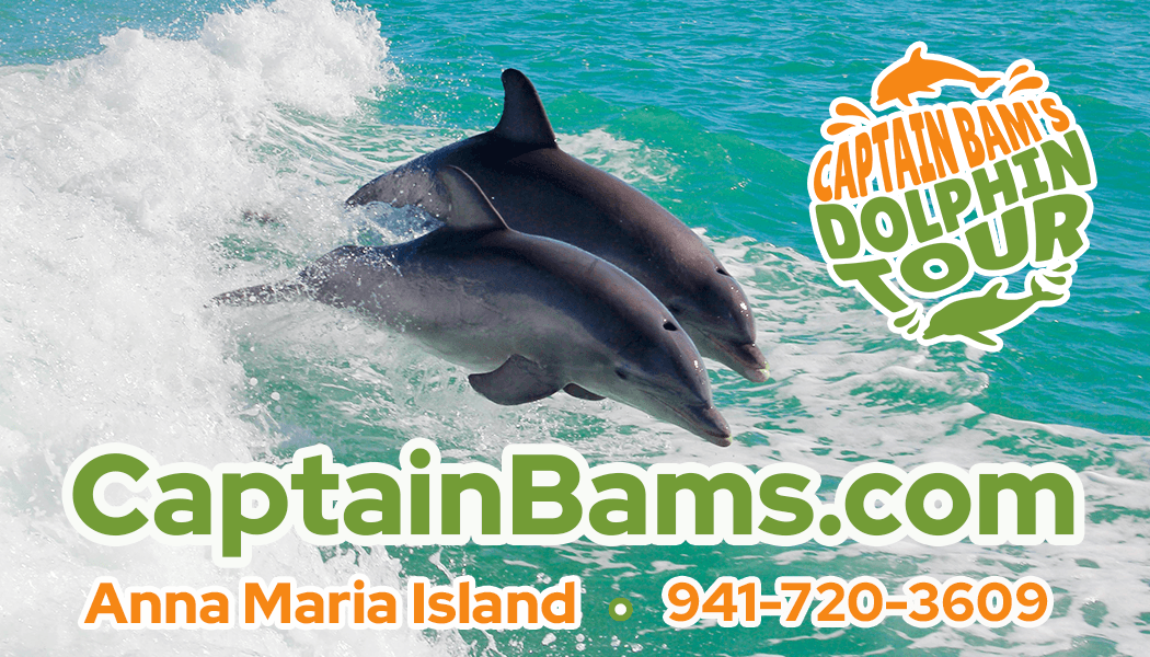 Dolphin tour promotional banner Anna Maria Island wildlife cruise