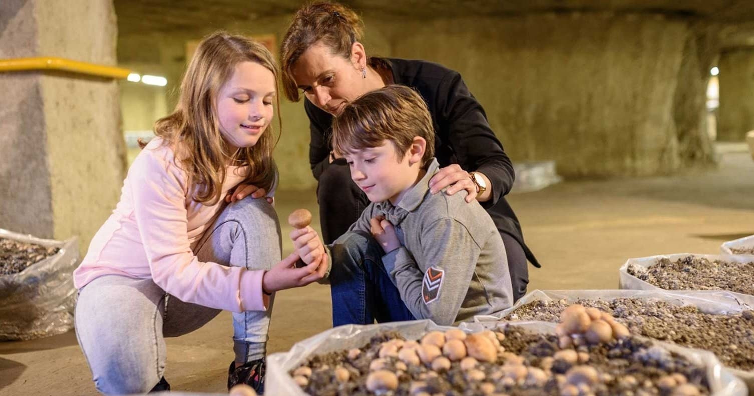 Family exploring troglodyte cellar inspecting mushroom beds and displays