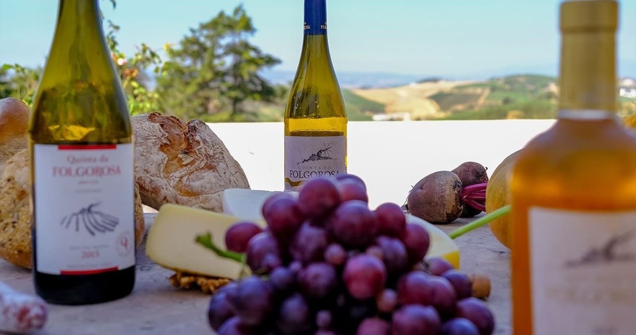 Wine Tasting & Harvest at Farm Experiences & Tours, Portugal
