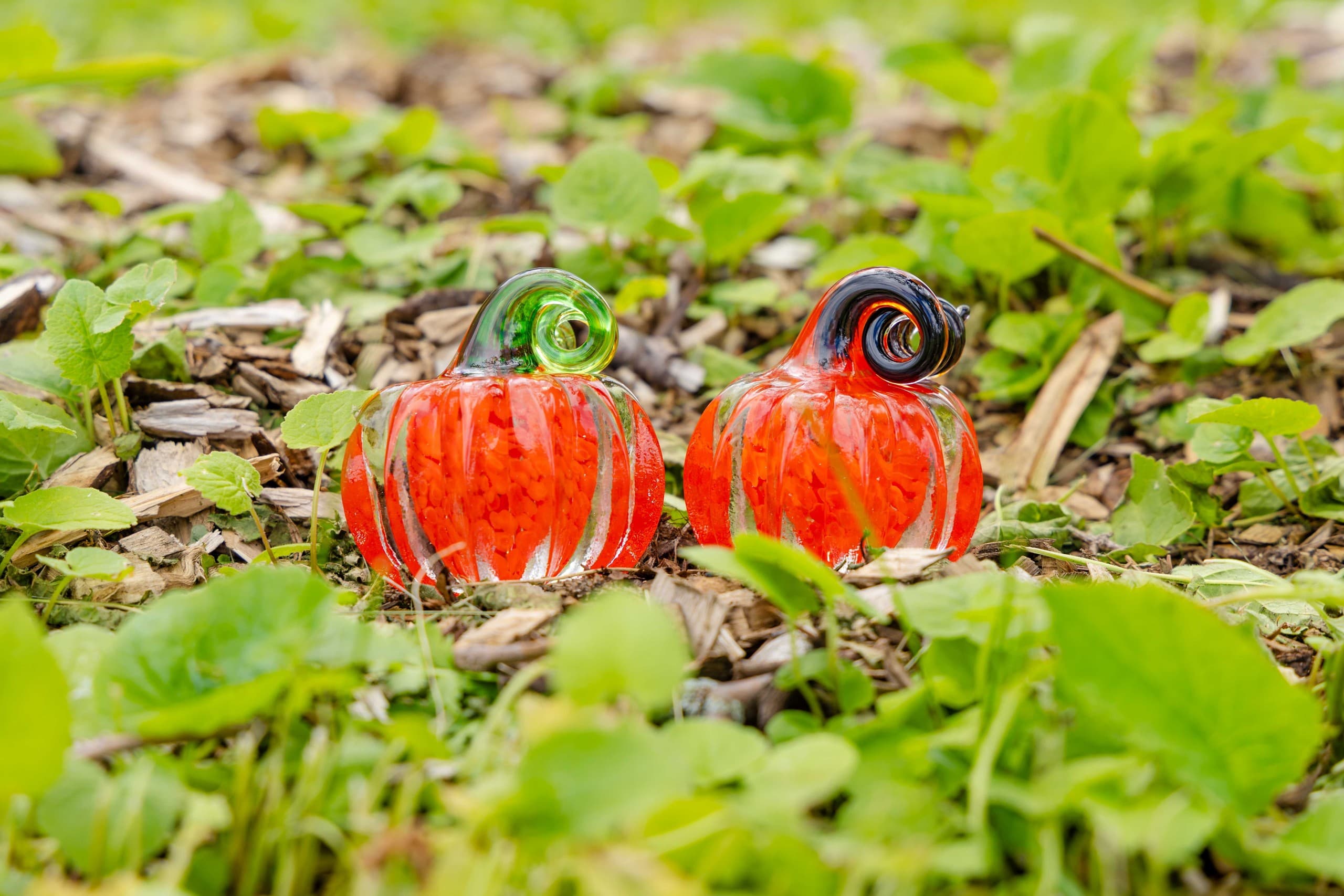 Hot-Shop Pumpkin Paperweight Class in Duluth - Lake Superior Art Glass photo 1