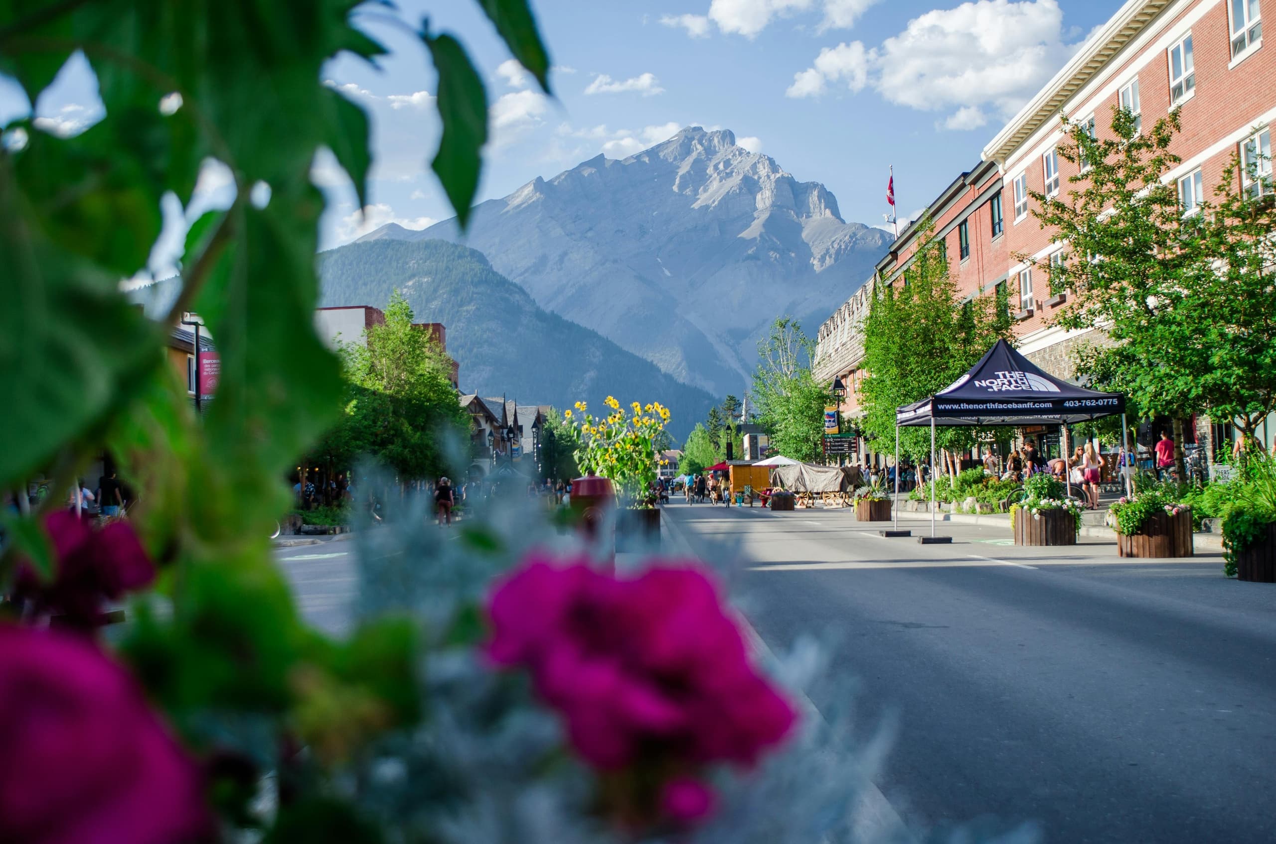 Private Walking Tour of Banff with Toonie Tours Alberta