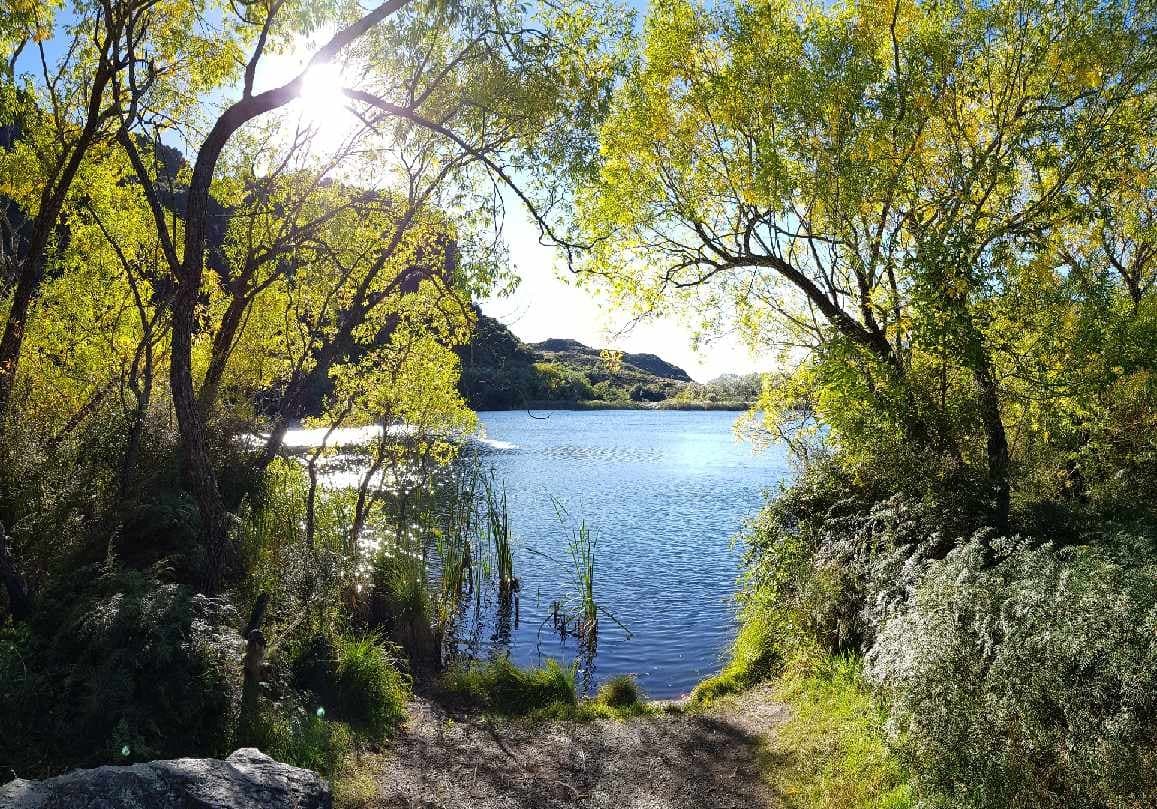Explore Diamond Lake & Rocky Mountain Track: Wanaka’s Premier Guided Walk with Panoramic Views