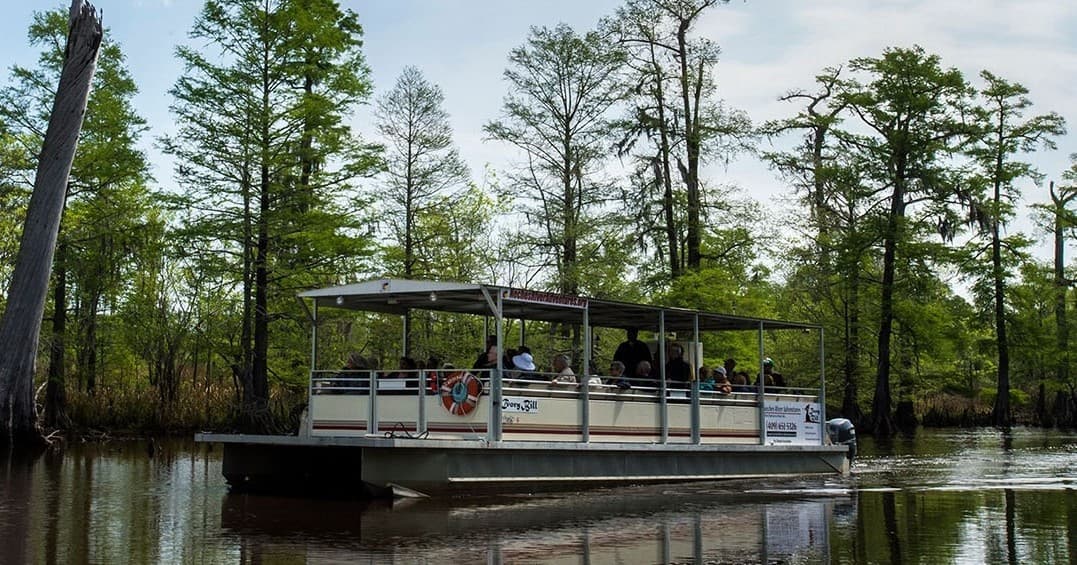 Pontoon boat gliding through cypress-lined bayou on eco tour