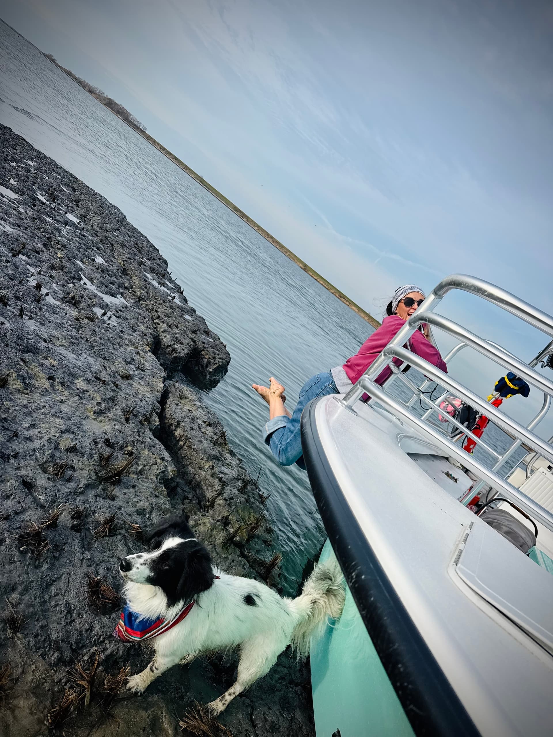Sharktooth Hunt Excursion: Tybee Island Fossil Beach Trip from Savannah photo 2