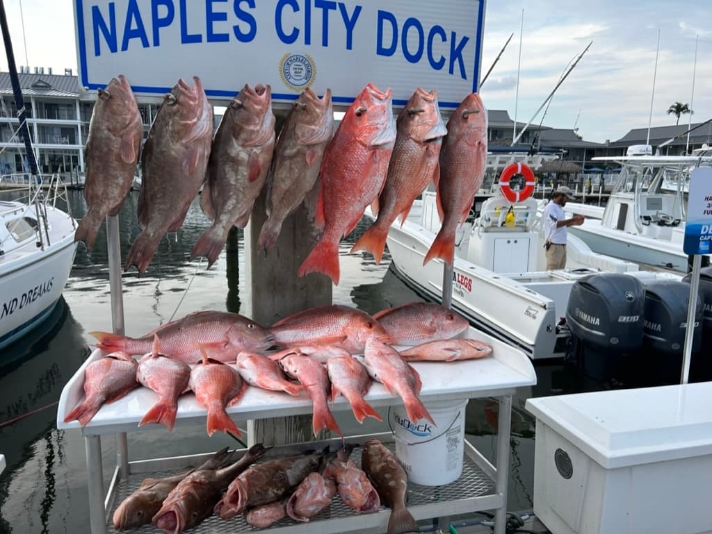 Deep Sea Fishing Adventure in Naples Florida with Sea Legs XLR