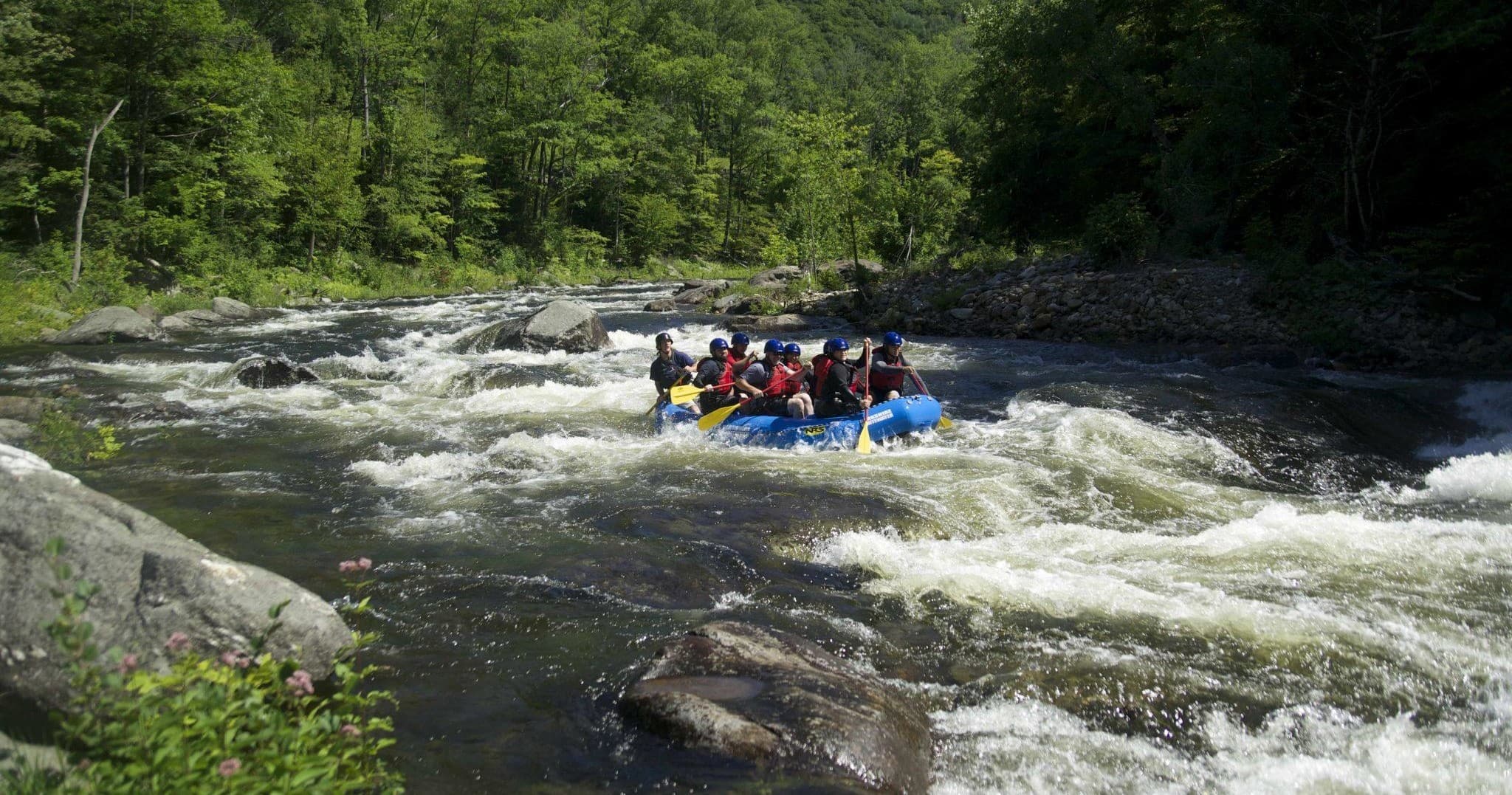 Whitewater rafters navigating rocky river rapids in forest