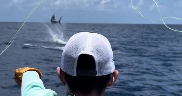 Riptide 8-Hour Marlin Charter: Offshore Marlin & Sailfish Fishing from St. Thomas photo 3