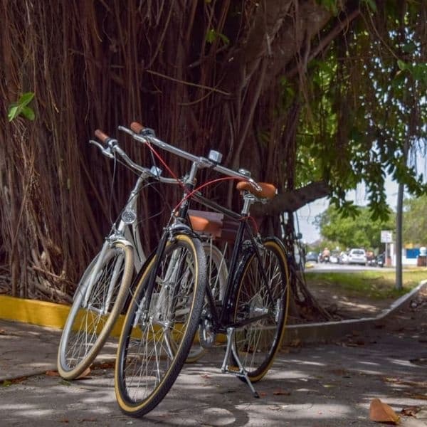 Cozumel Bike Rentals with Beach Bum Cozumel