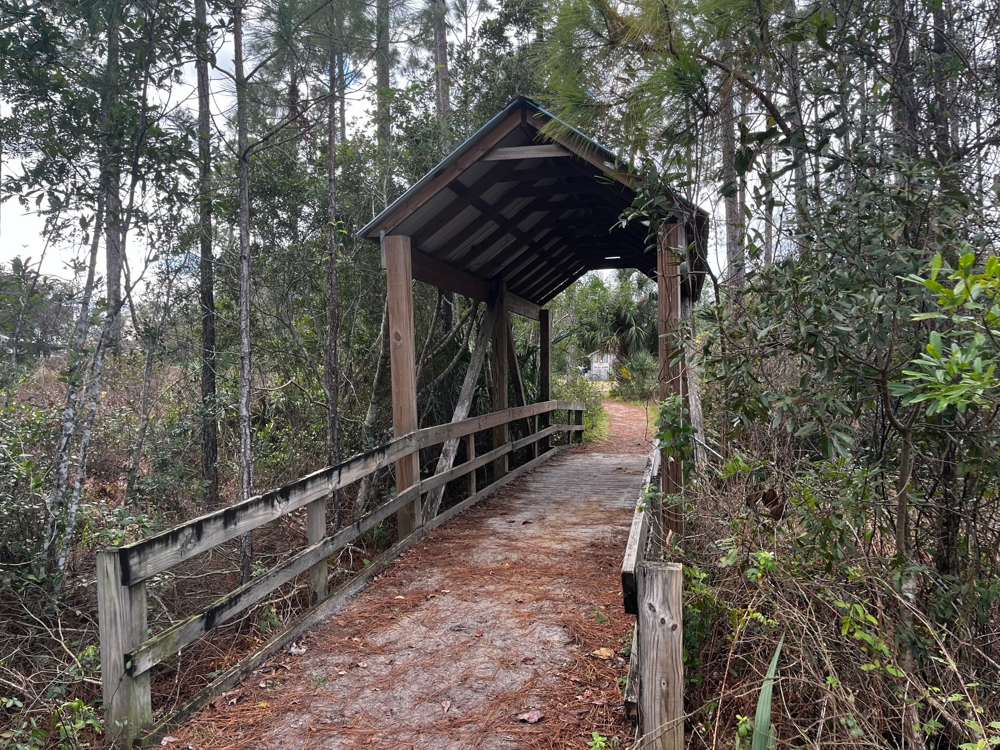 Hands-On History in Palm Coast: JWFL Homeschool Programs for Young Explorers