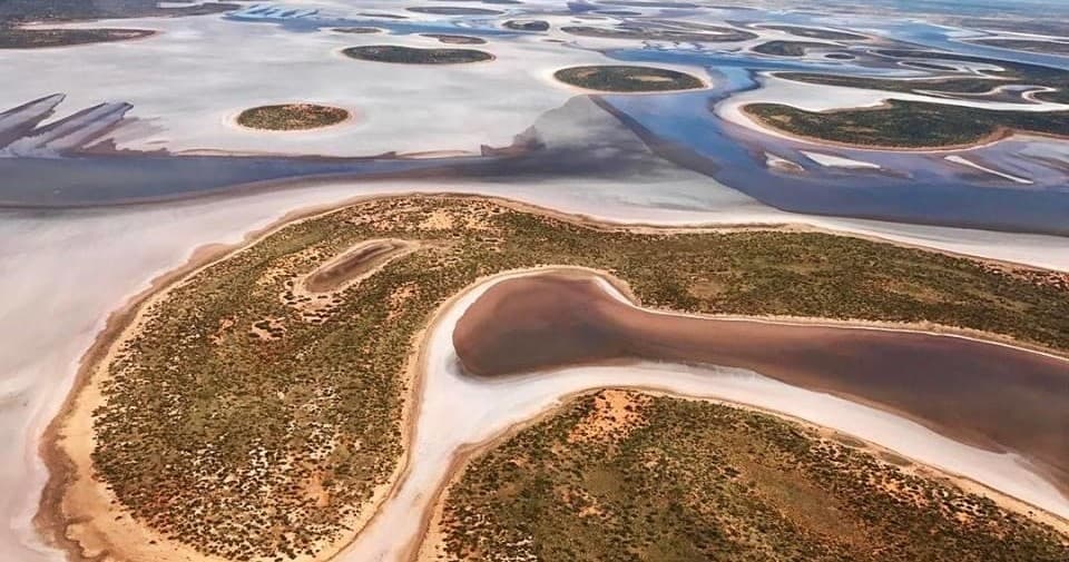 Lizard Safari Air Tour with Ayers Rock Scenic Flights