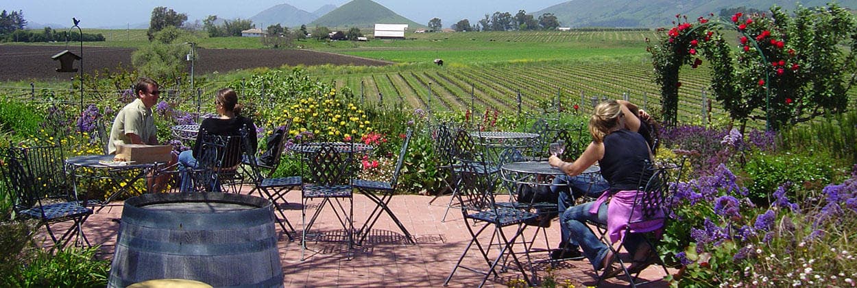 Outdoor winery patio seating overlooking vineyard rows