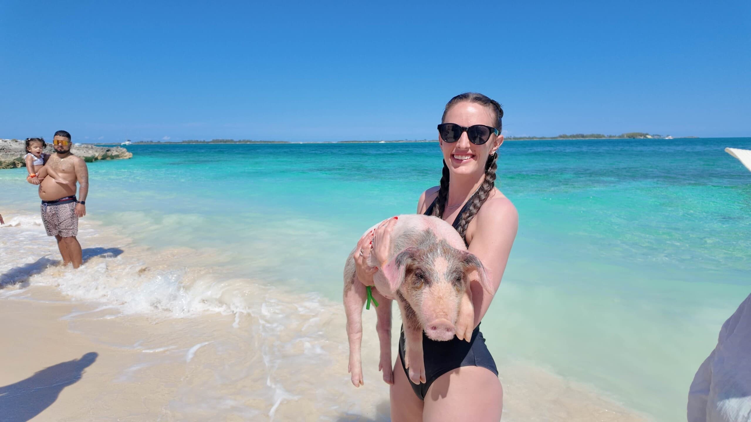 Visitor holding swimming pig on white sandy Caribbean beach