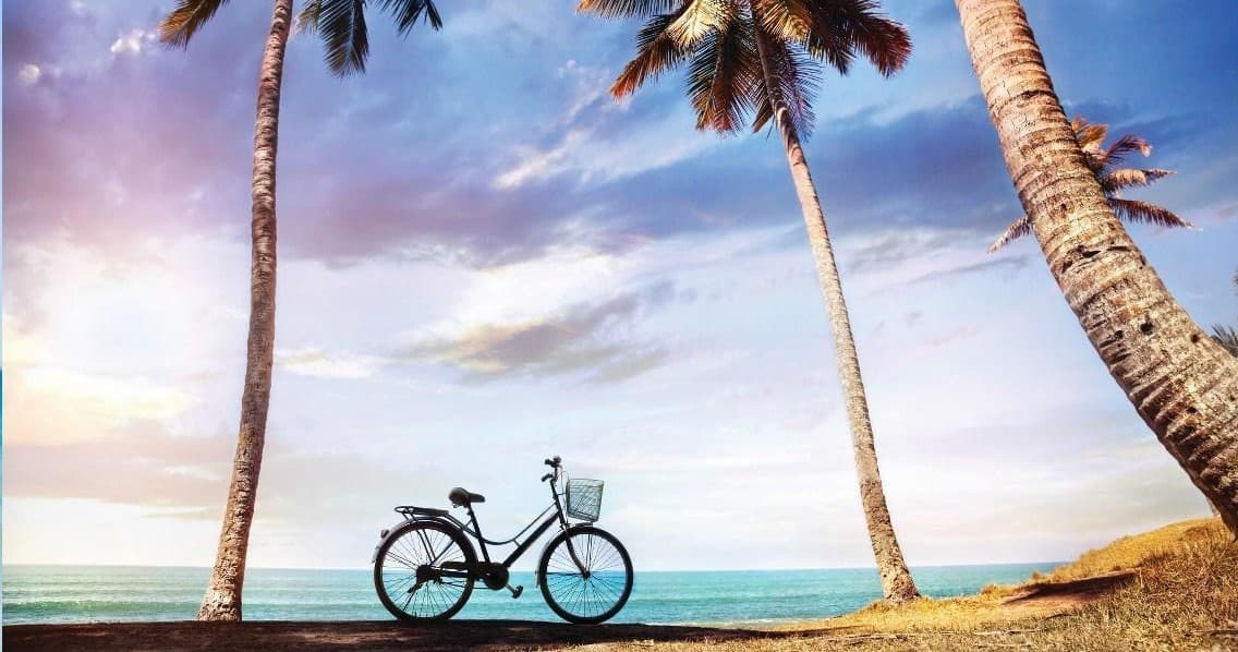 Bicycle between palm trees on tropical beach, coastal ride