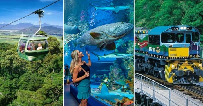 Cable car over rainforest and coastal train with aquarium collage