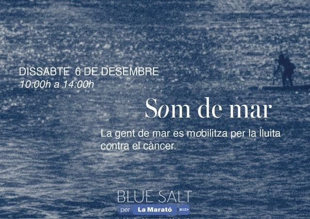Blue Salt fleet