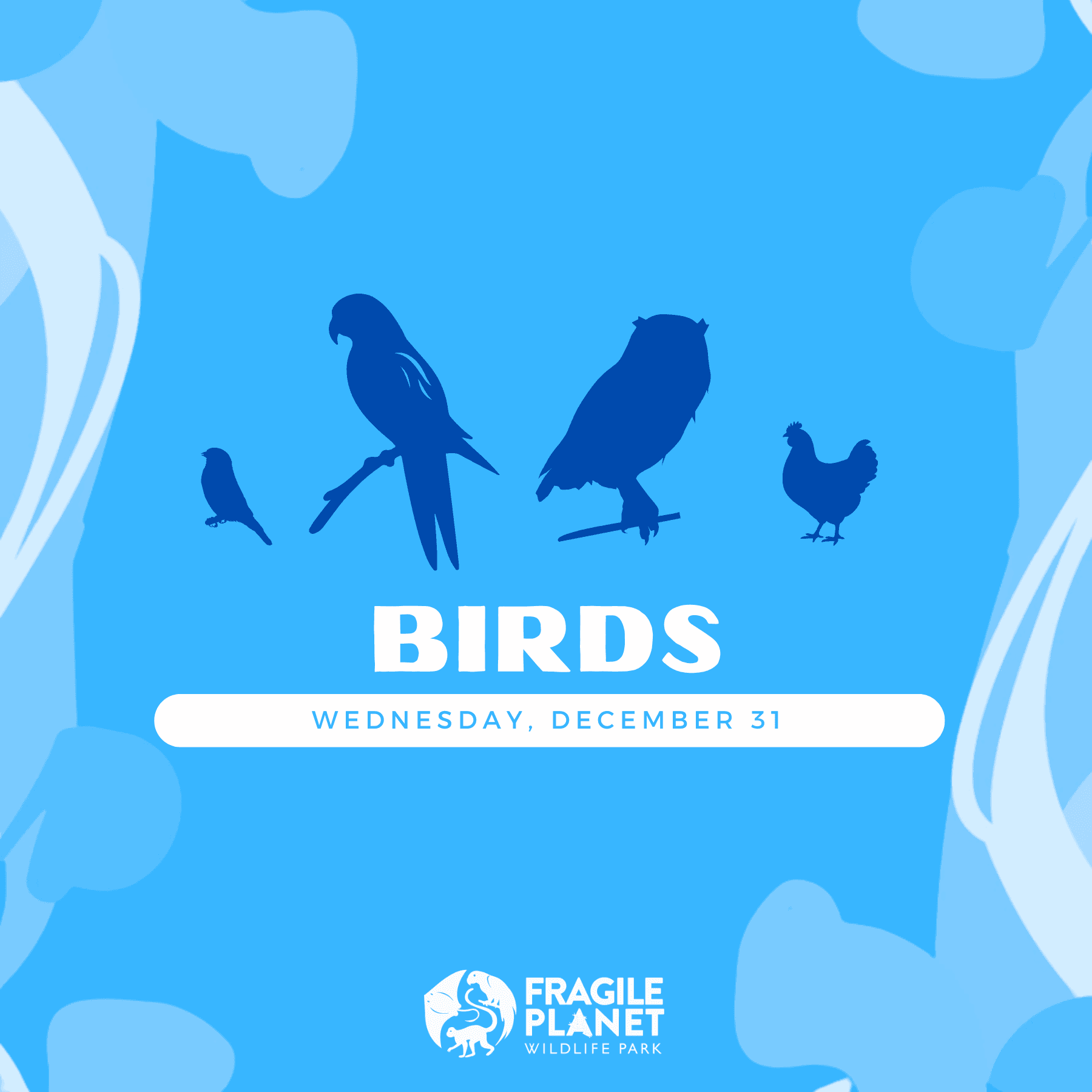 Birds Day Camp for Kids in Los Fresnos, TX — Zookeeper-Led Wildlife Adventure