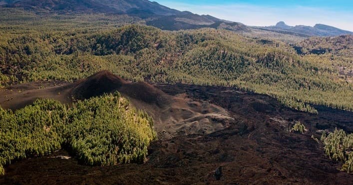 Explore Tenerife’s Chinyero Natural Reserve: A 5-Hour Volcanic Hiking Adventure photo 3