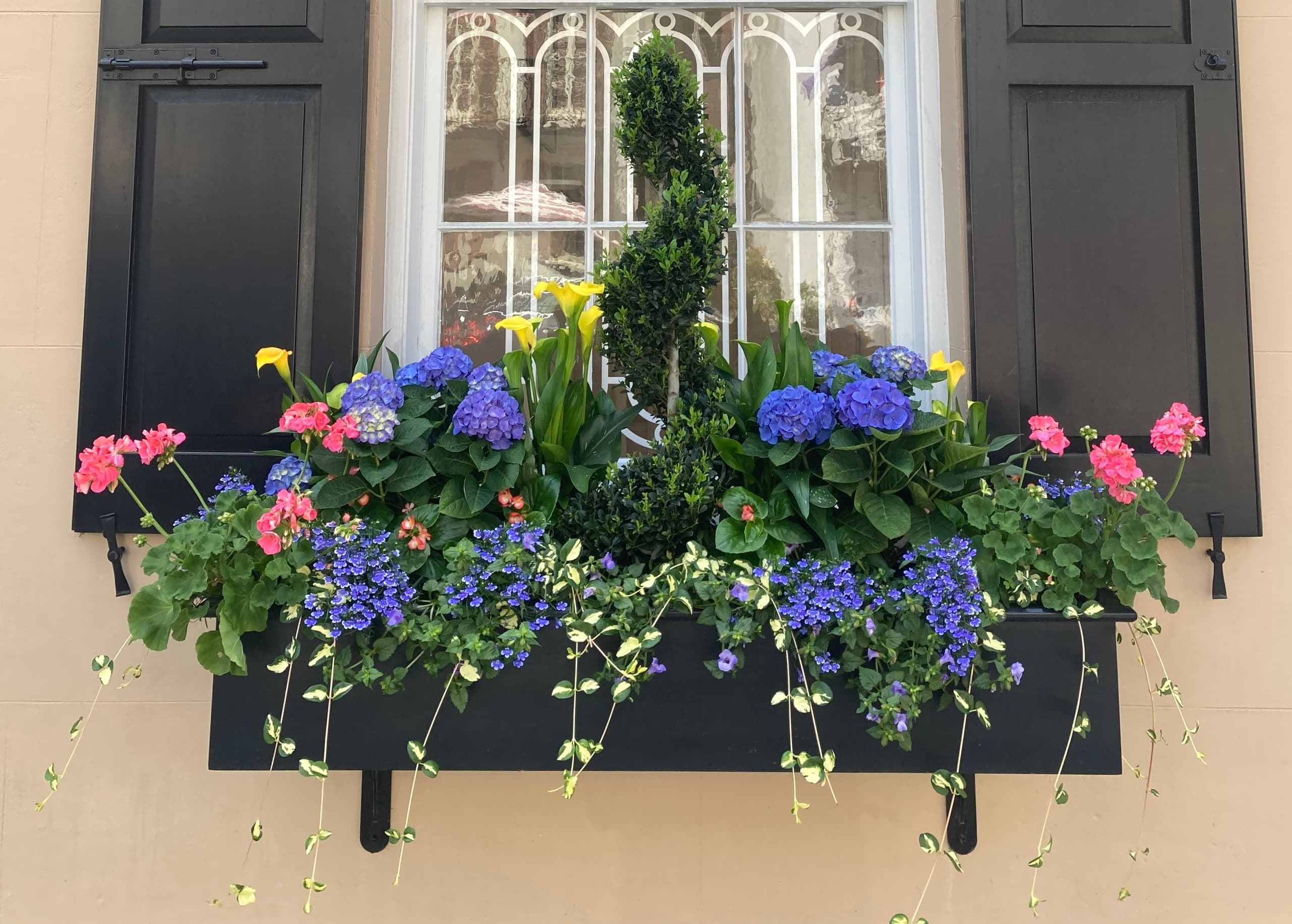 Land Adventures in Charleston with Lowcountry History Strolls