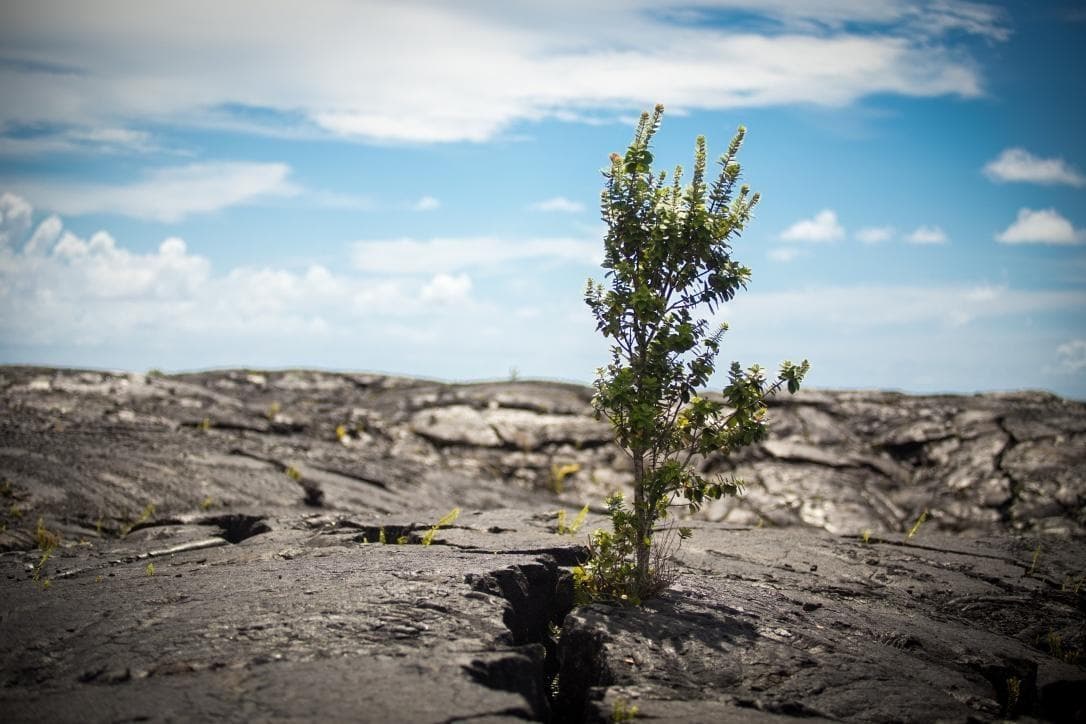 Evening Volcano Explorer: Waikoloa to Hilo Lava Tour
