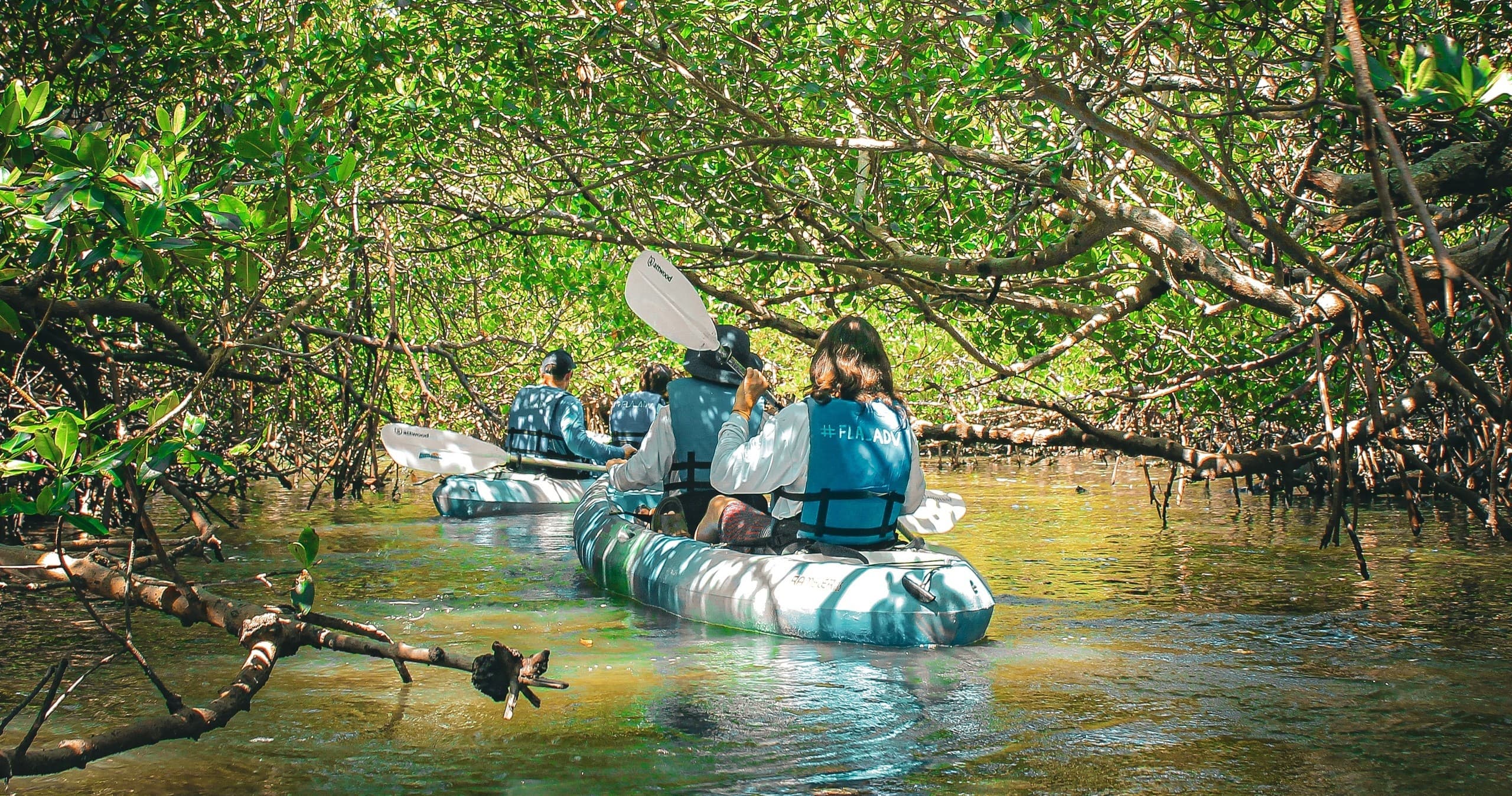 Kayak in Goodland, Florida