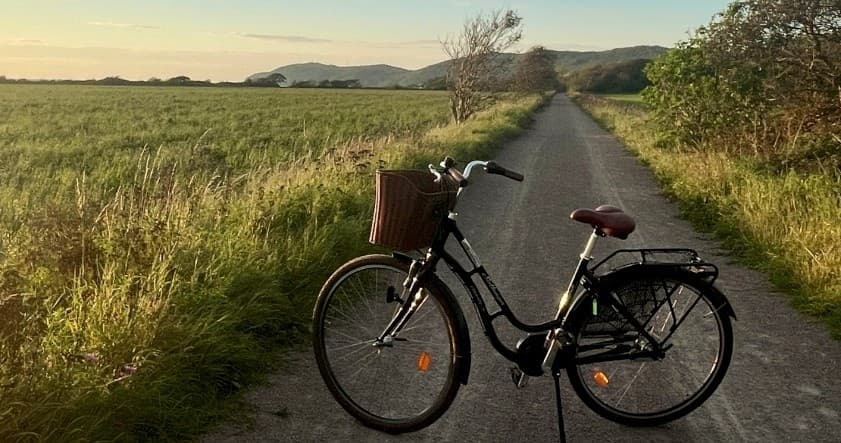Cycling Adventure with Kullabergsguiderna in Kullaberg