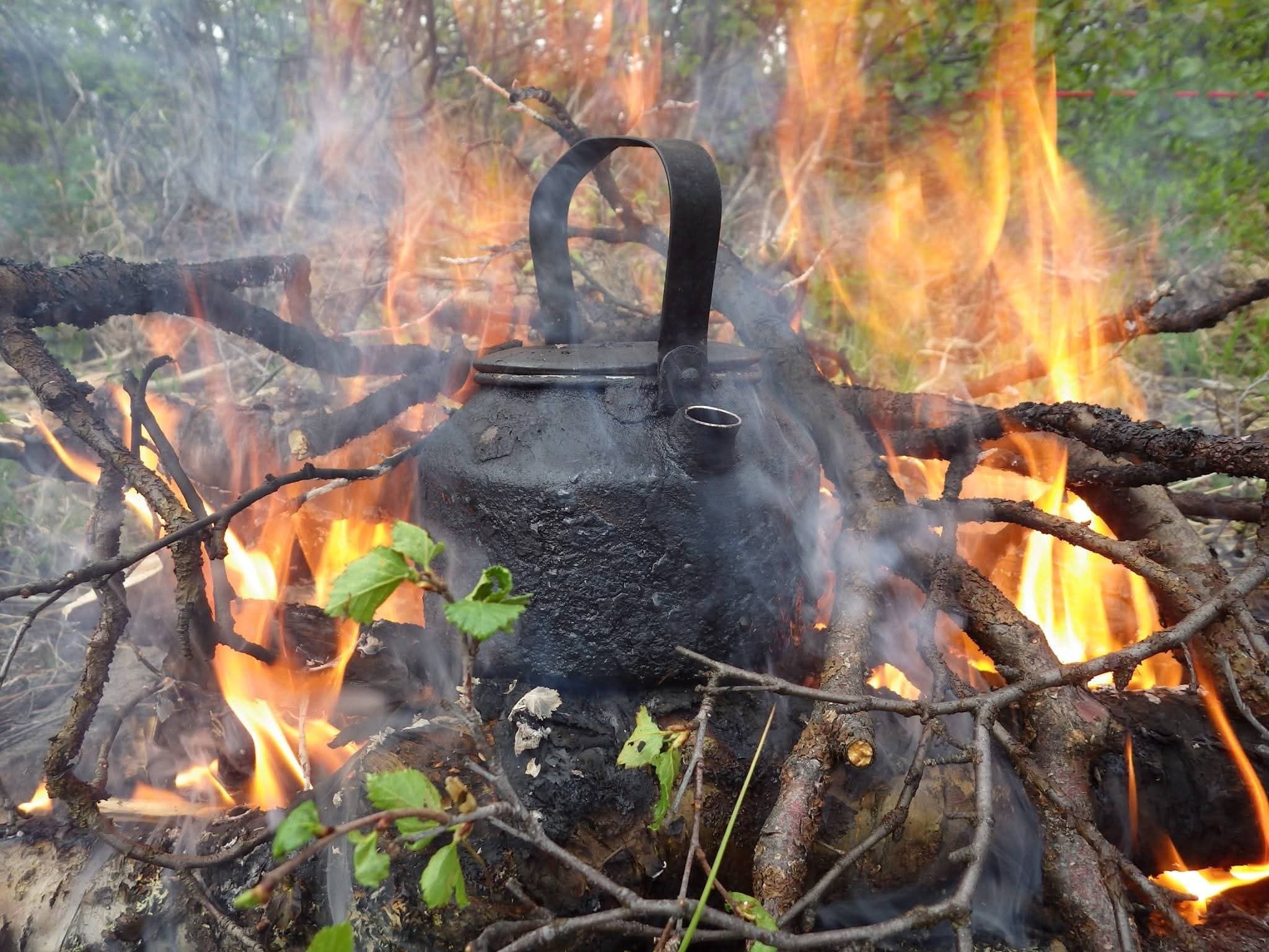 Arctic Survival Course near Kiruna: Learn Firecraft and Wild Cooking in Swedish Lapland photo 1