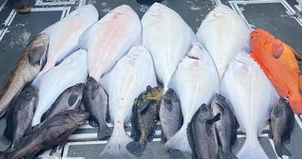 Fishing Adventure in Resurrection Bay, Alaska