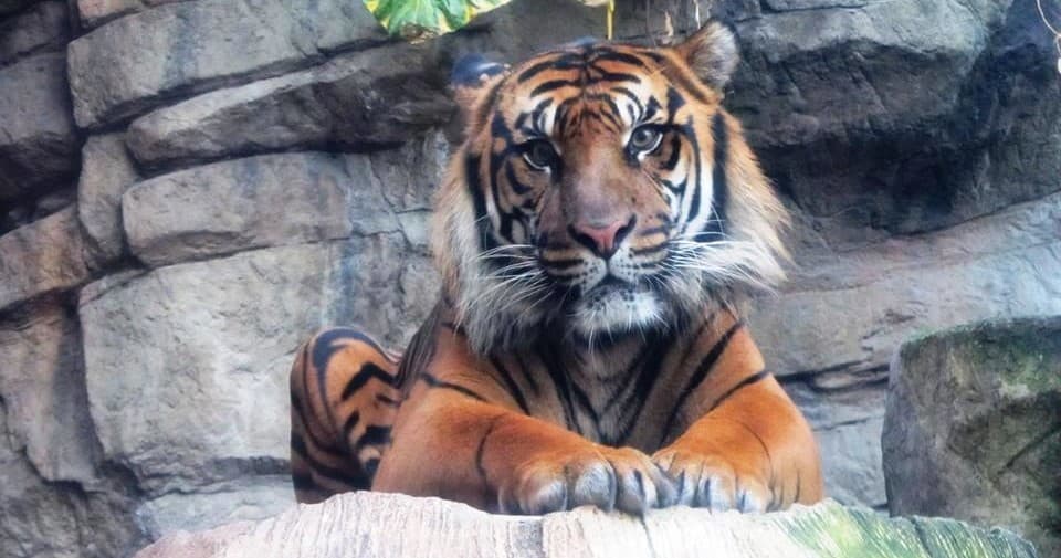 Zoologist for a Day: Denver’s Hands-On Wildlife Experience photo 1