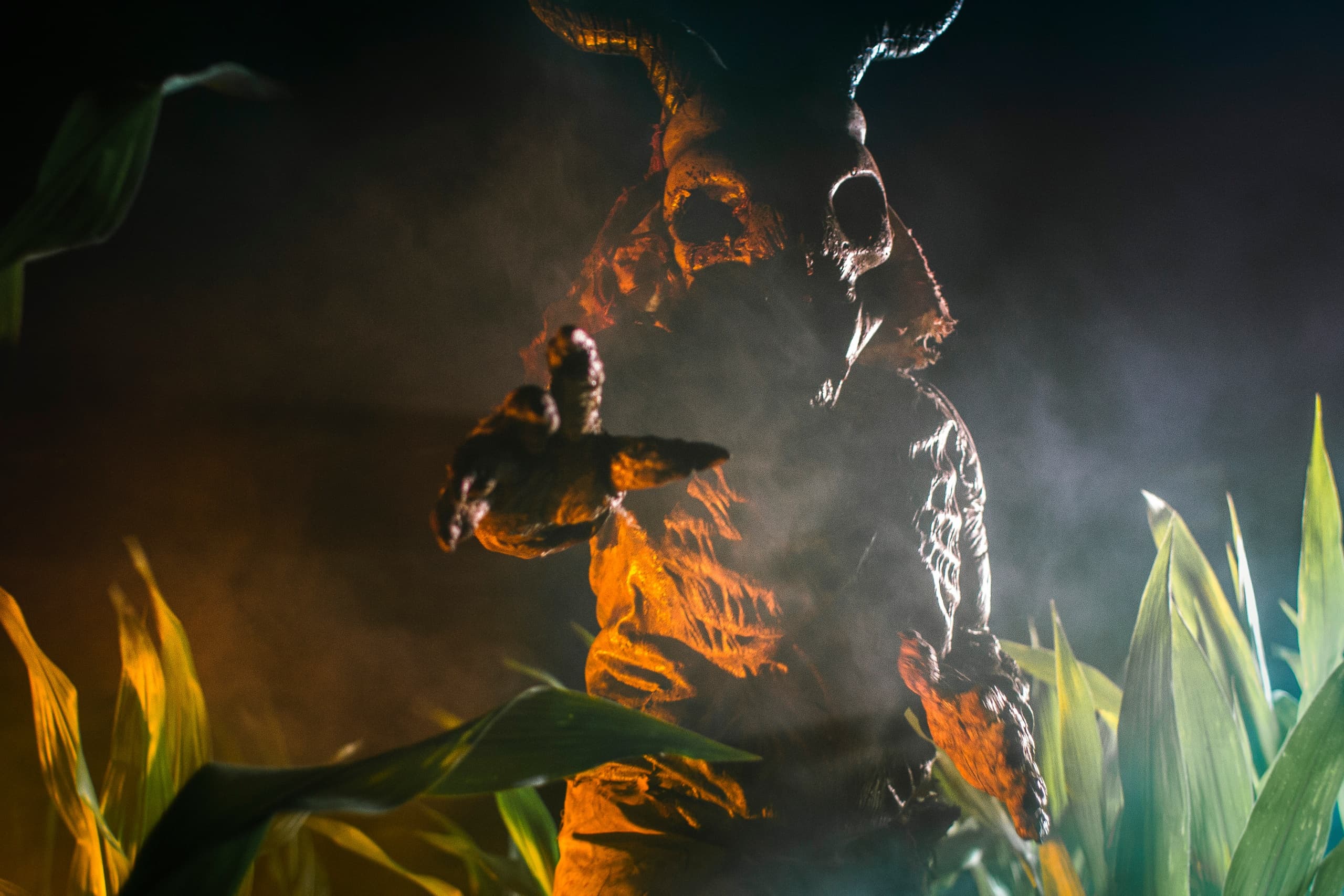 Scarecrow in cornfields at night on haunted farm trail