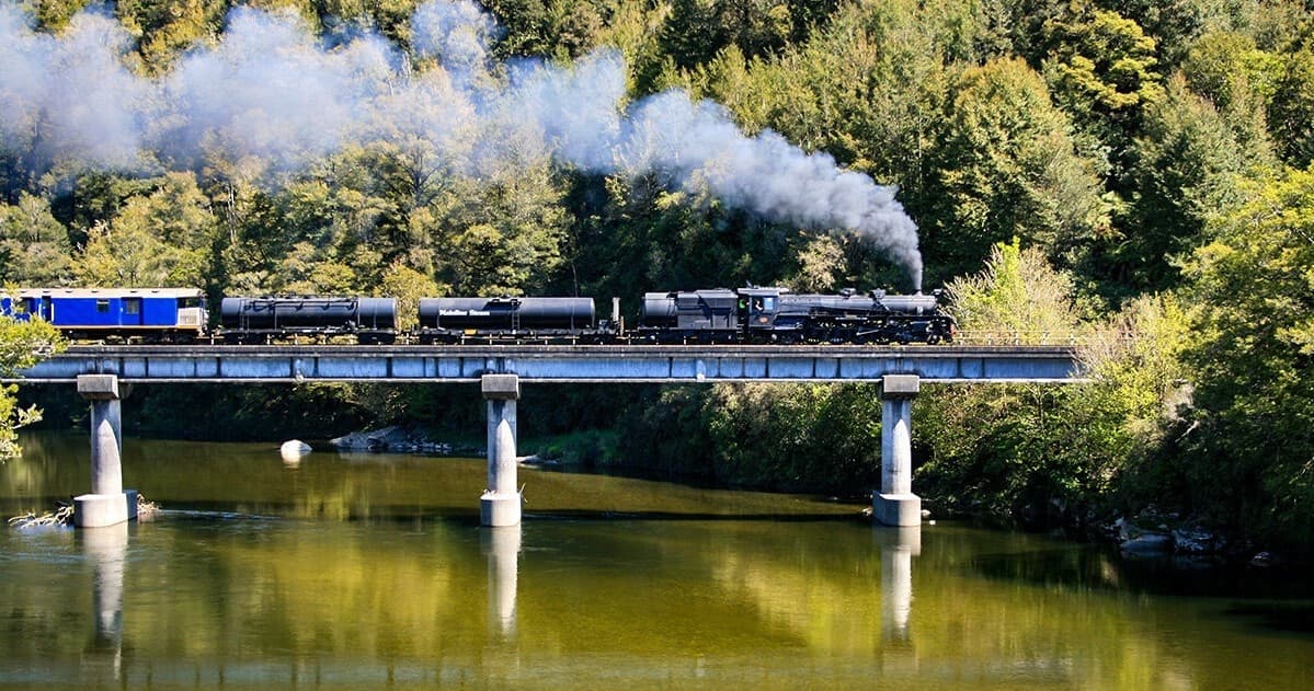Ride the Historic Steam Train from Paraparaumu to Tui Brewery: Scenic Journey & Gourmet BBQ Experience