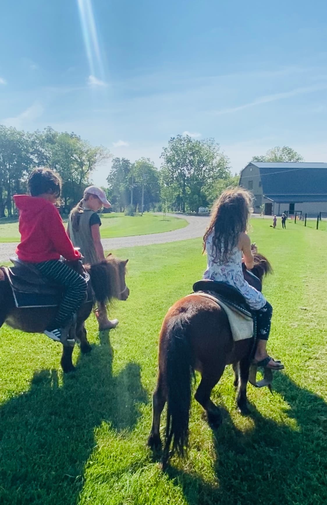 Pony Rides & Adult Equine Encounters at Jireh Hills