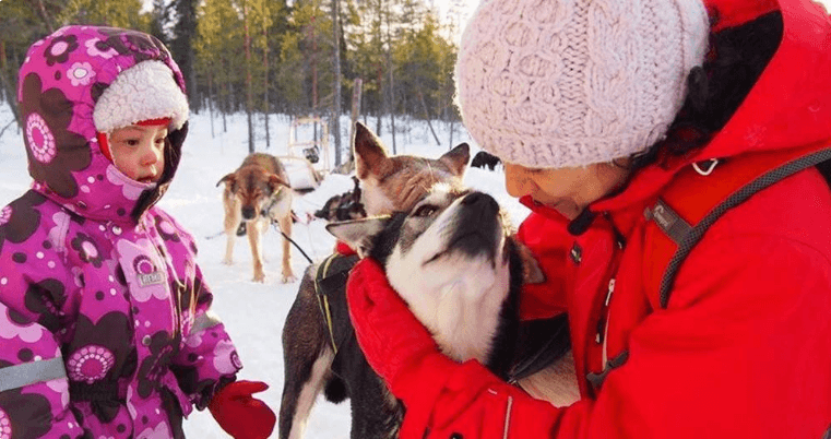 Husky Farm Tours at Hetta Huskies in Enontekiö