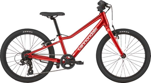 Cannondale Trail 24: Kids Mountain Bike Rental in Holland, MI