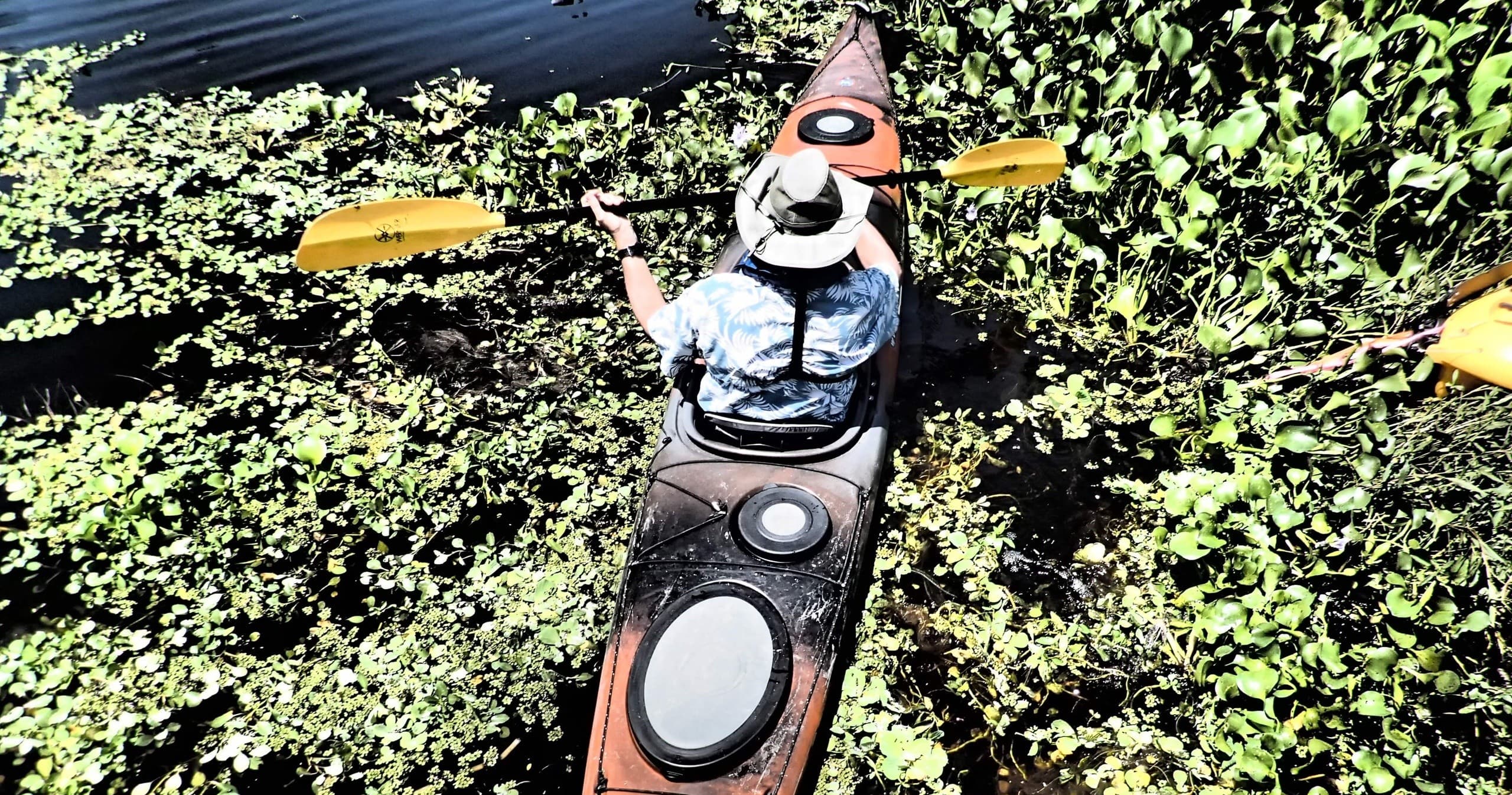 Land Adventure at Mud Springs with Earth Kinship