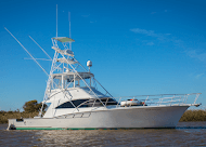 Bottom Fishing Charters at Zeke's Landing Marina