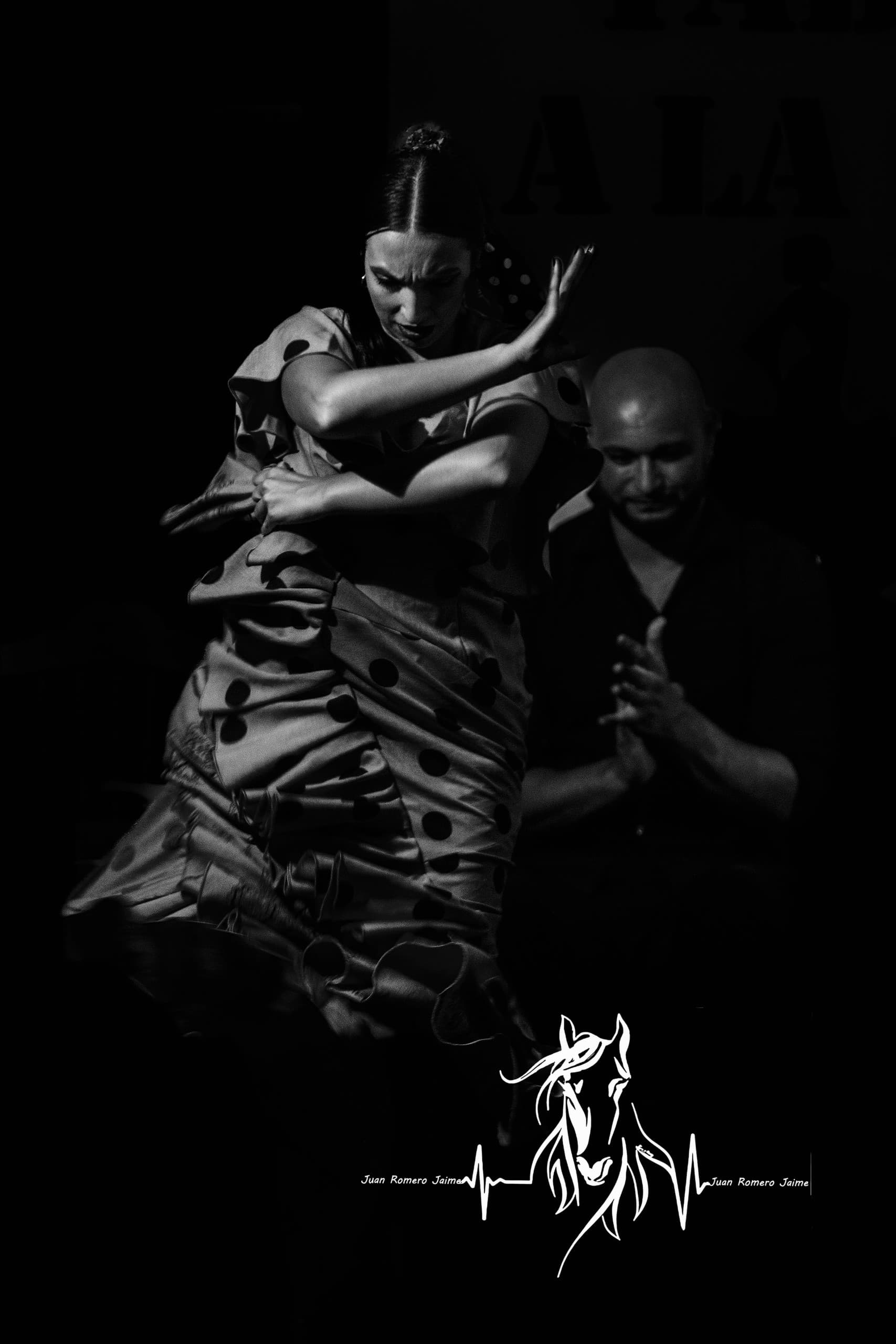 Show y Menú: Flamenco Night & Andalusian Menu in Jerez for €21 photo 2