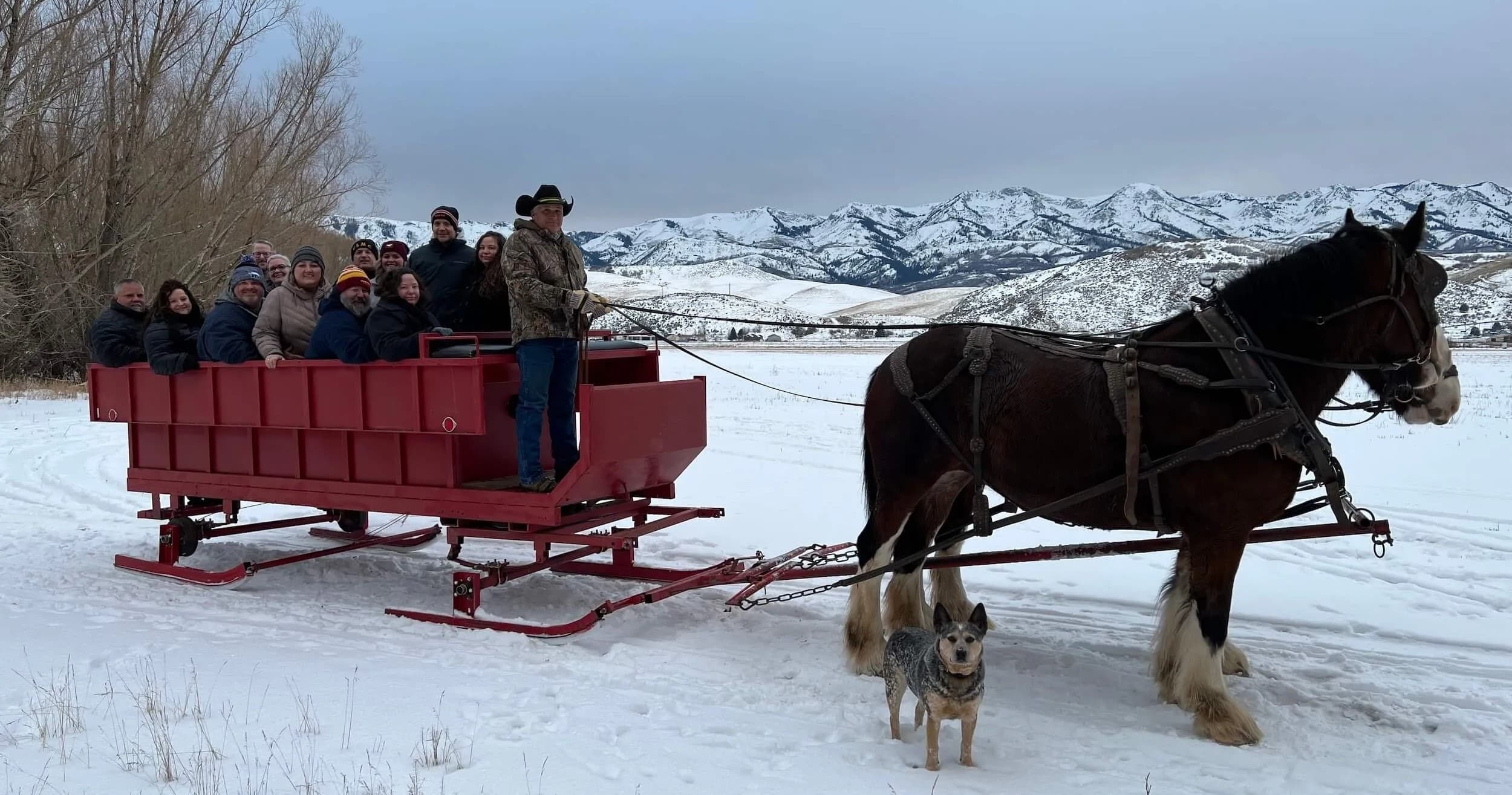 Sleigh and Wagon Rides in Morgan, Utah at Thurston Farms