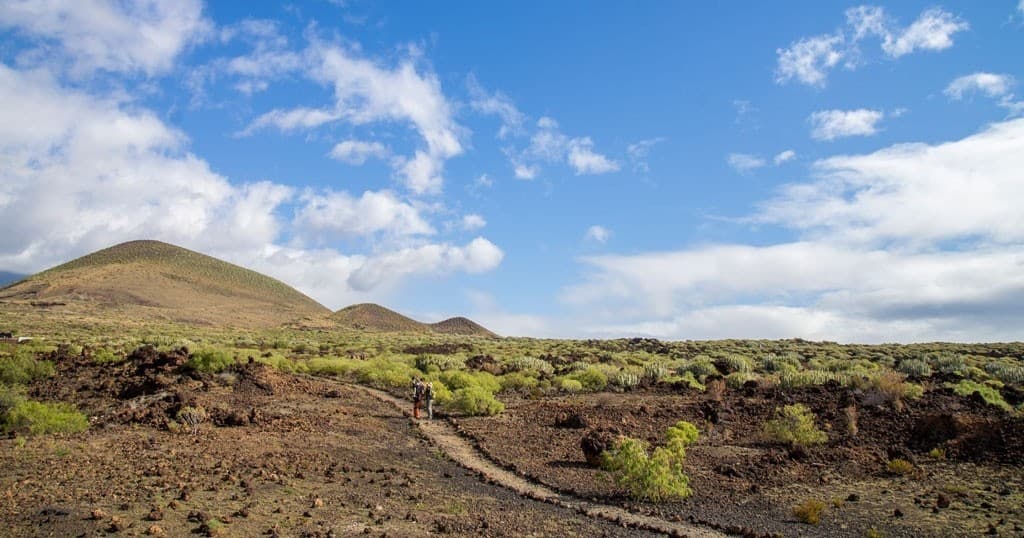 Hiking Tour at Malpaís de Güímar with FEEL TENERIFE